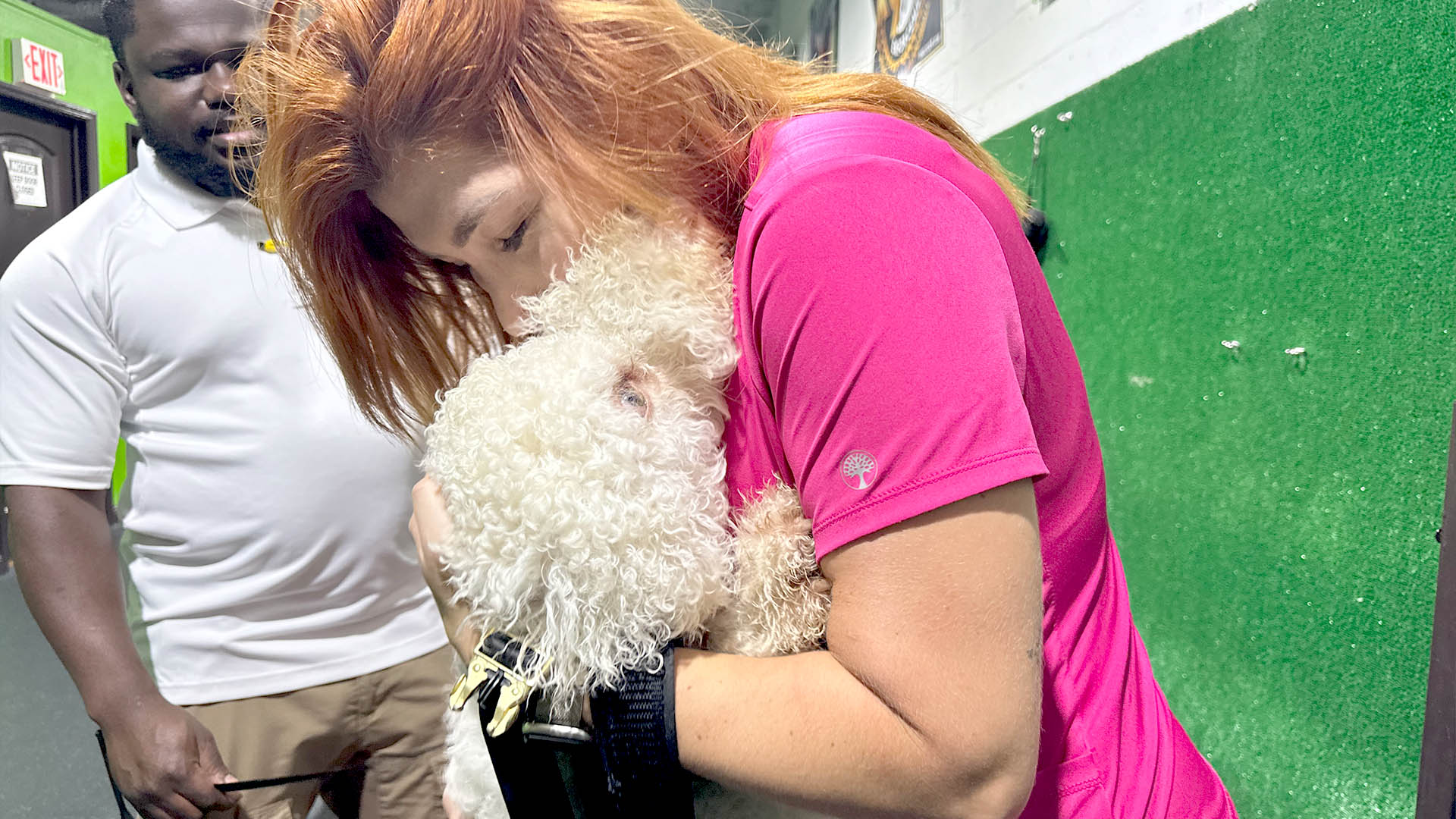 dog trainnig dog owners will love dog trainnig dog owners will love
