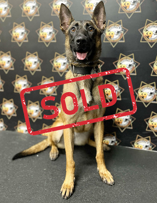 K9-Adra-trained dog sold by Shultz K9